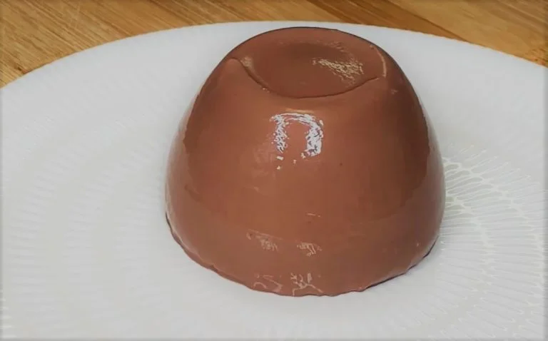 Panna cotta au chocolat